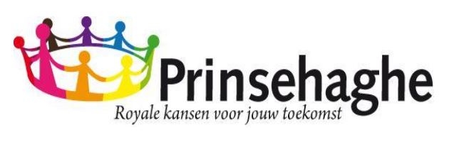 Logo Prinsehaghe