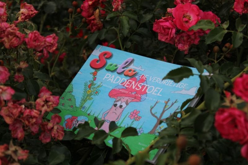 De voorkant van het boek zie je de titel en een verdrietige paddenstoel. Dat is Sula, de hoofdpersoon.